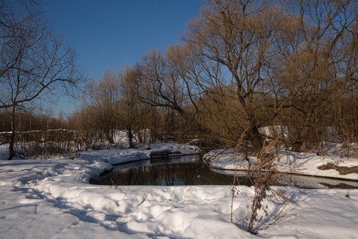 ПАВЛИНСКИЙ ПАРК 🌳
📸 Лена
Давно там..