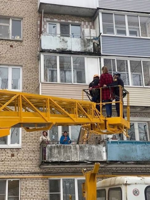 В Подмосковье девушка попыталась спасти кота, который залез на дерево. В итоге помощь потребовалась им..