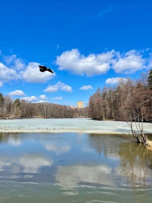 СУББОТА, БАЛАШИХА
Сегодня в Балашихе +11°, самое время погулять 🙂
Фото Наталья Светлова и Людмила Клименко.
А..