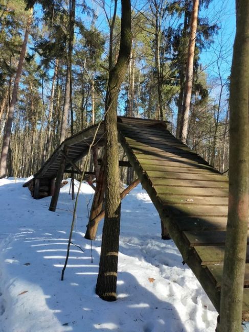 Уважаемая администрация! Подскажите пожалуйста, кто-нибудь вообще следит за порядком в лесопарках? У нас в..