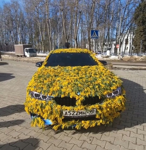 Как Вам такое оформление BMW..