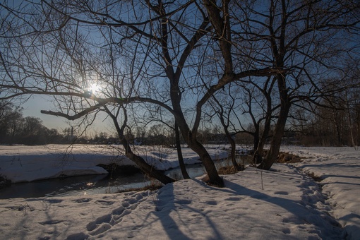 ПАВЛИНСКИЙ ПАРК 🌳
📸 Лена
Давно там..