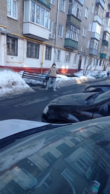 В Химках местные жители заметили, что их соседка повадилась выбрасывать пакет с мусором в урну на детскую..