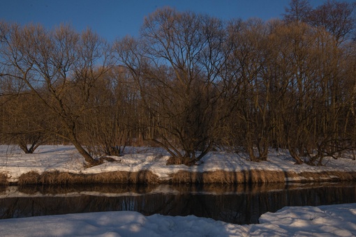 ПАВЛИНСКИЙ ПАРК 🌳
📸 Лена
Давно там..