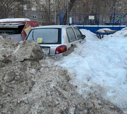 🌱Весна пришла, из-под снега начали появляться первые..