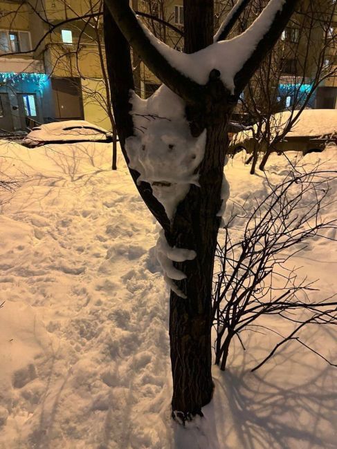 ⛄️ Вот такого чудика слепил на дереве кто-то из жителей Красногорска  Поселился снежный домовенок на..