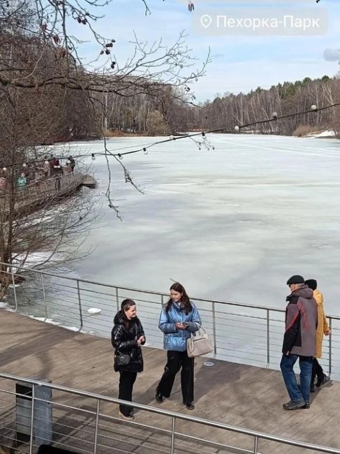 СУББОТА, БАЛАШИХА
Сегодня в Балашихе +11°, самое время погулять 🙂
Фото Наталья Светлова и Людмила Клименко.
А..