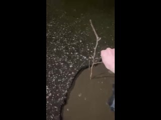 п. Дружба Московская область Раменского района. 
Поклона властям не будет, не за чем и не за что! Не живëм, а..
