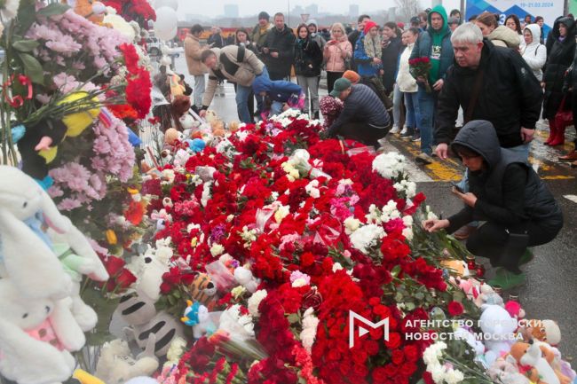 Место боли и слез  Мемориал возле «Крокуса» растёт, все больше людей хотят почтить память погибших, несут..