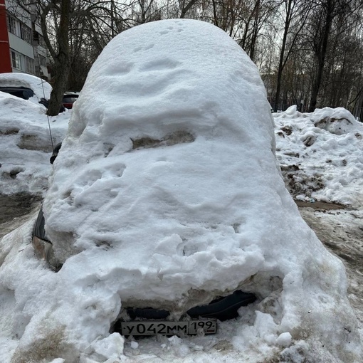 🌱Весна пришла, из-под снега начали появляться первые..