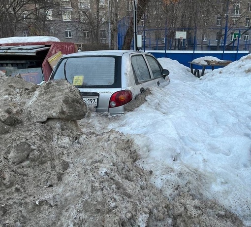 Весна пришла, из-под снега начали появляться первые..