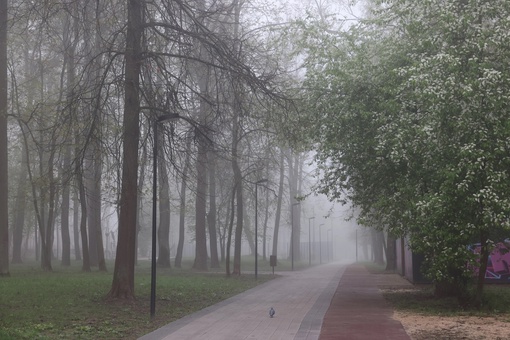 Апрельский, утренний туман в Серпухове.  📷 Сергей..