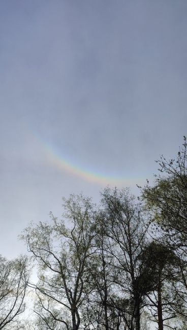 От подписчицы:
Сегодня над Ногинском можно было увидеть радугу..