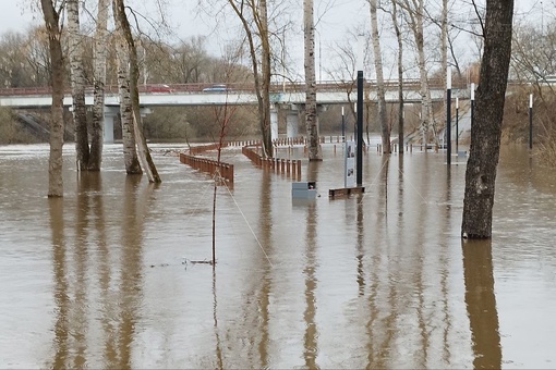 Она утонула. Снова  Этого, к сожалению, следовало ожидать: большая вода принесла Серпухову большие..