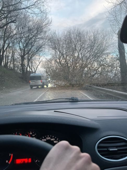 На дорогу Подольск-Быково упало дерево. Будьте..