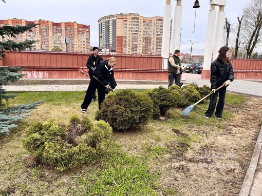 Ребята из Щелковского колледжа привели в порядок «Аллею Памяти»🌳  К 9 мая в нашем округе готовят более 60..