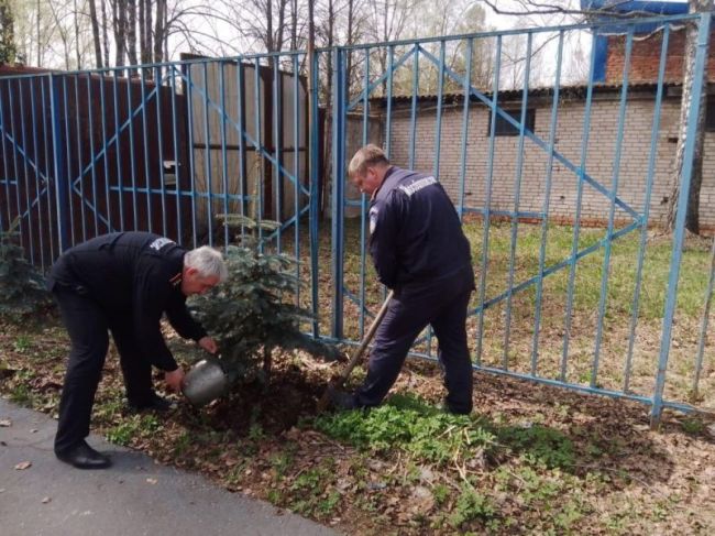 Спасатели Пушкинского округа высадили саженцы деревьев на территориях своих частей  Работники 296-й, 335-й и..