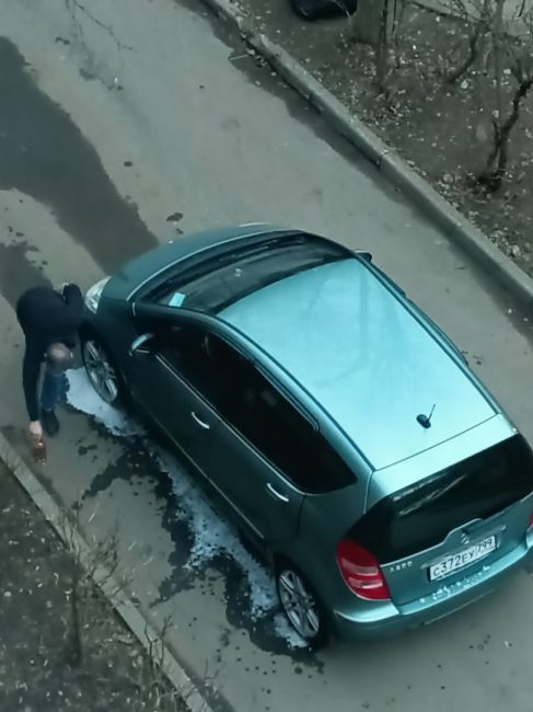 .... ВОТ И СВИНЬИ..