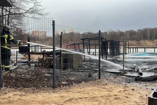Пожар на пляже парка Толстого потушен 👏🏻  Площадь возгорания составила 35 квадратных метров. Пострадавших..