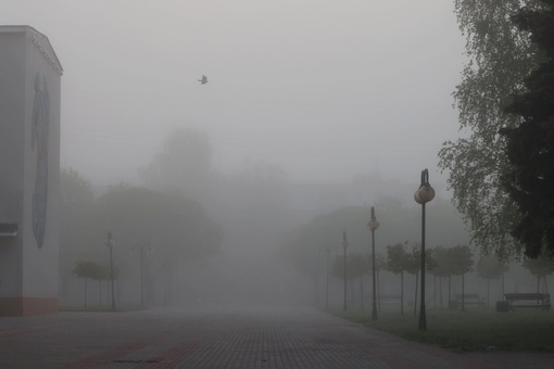 Апрельский, утренний туман в Серпухове.  📷 Сергей..