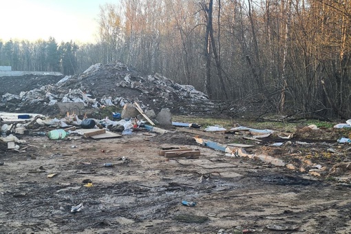 По дороге из ЖК Мишино в сторону ул.Академика Грушина образовалась внезапная мусорная свалка  Всю зиму сюда..