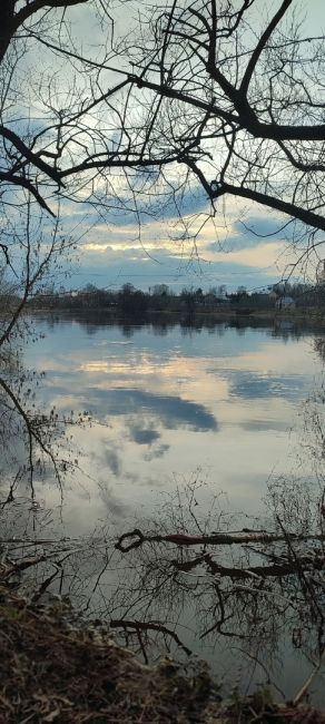 Прекрасного вечера, Ногинск.
Природа у нас шикарная.  Фото Екатерины..