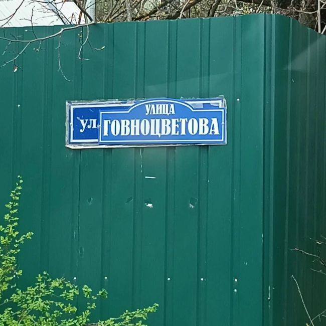 Жители Пушкино переименовали улицу, на которой постоянно протекает канализация, в честь одного местного..