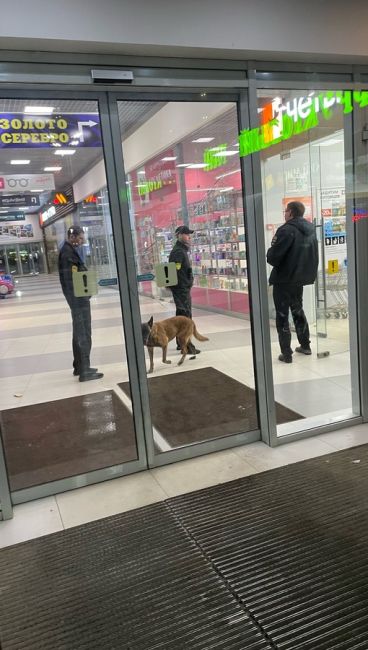 Вчера в ТЦ "Западный" полиция с собаками искали взрывчатое..