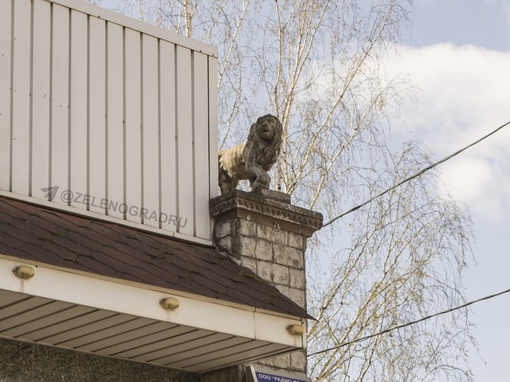 Историческое здание магазина на Привокзальной площади, украшенное львами на фасаде, будет изъято для..