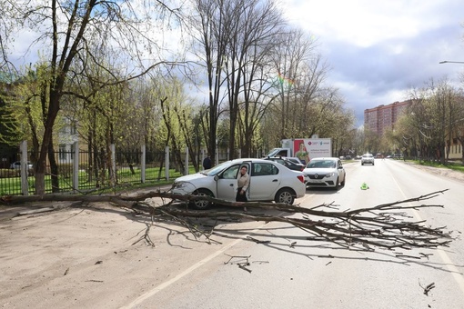 Экстренные службы Подольска ликвидируют первые последствия шквалистого ветра. 
Бригады уже убрали..