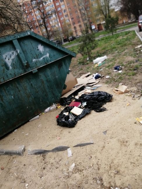 С прошлой осени от летящего мусора с не огражденной помойки не убирался двор по  адресу Дзержинского 2. ..