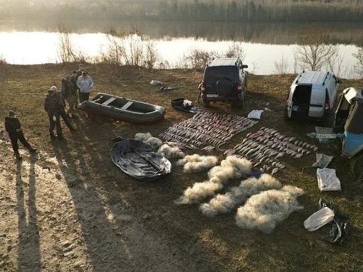 Банду браконьеров задержали на реке Ока в районе Серпухова  Инспекторы рыбоохраны вместе с сотрудниками..