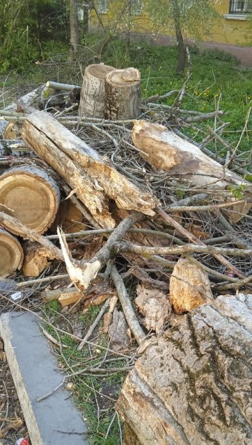 Рядом с детской площадкой во дворе д.9 по ул.Октябрьская вчера днём упало сухое  20- метровое дерево. К счастью,..