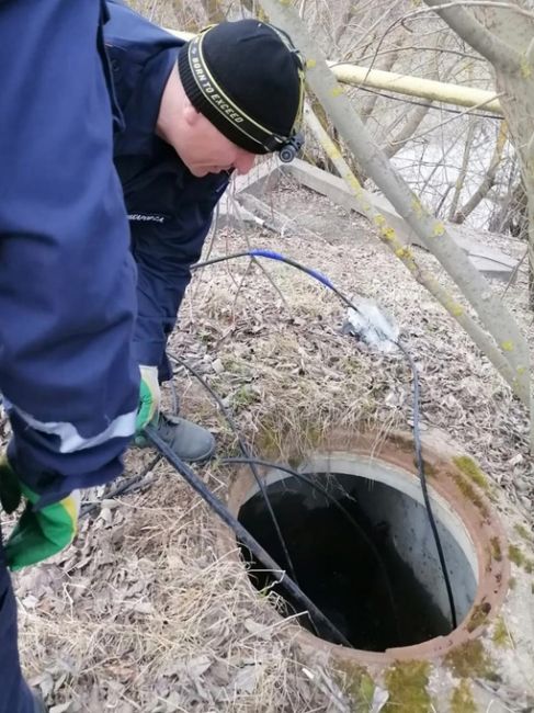 🚨 Бобру, угодившему в колодец, пришли на помощь спасатели 
Историей спасения бобра, попавшего в беду,..