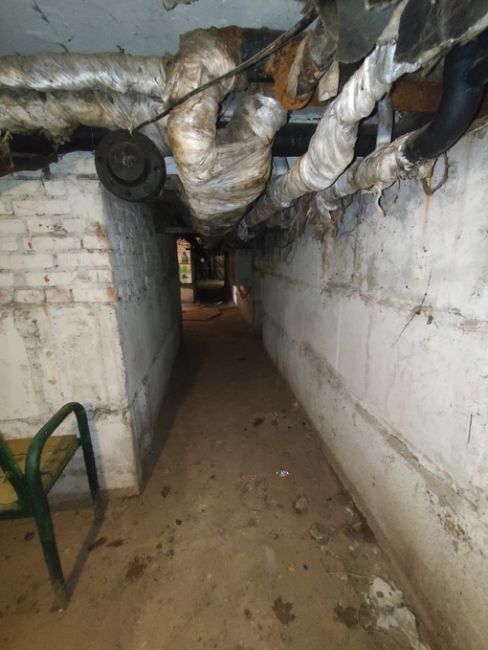 Представители управления ЖКХ администрации Химок выехали на место и проверили подвалы дома №8 на улице..