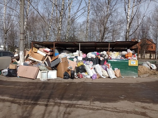 Подольск зарастает мусором. Жители задаются вопросом когда будет регулярный вывоз мусора? Или теперь только..