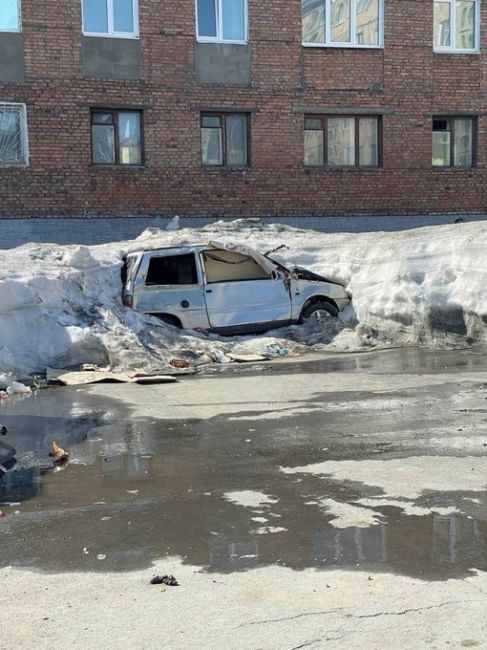 Я зимой: не буду откапывать, подожду до..