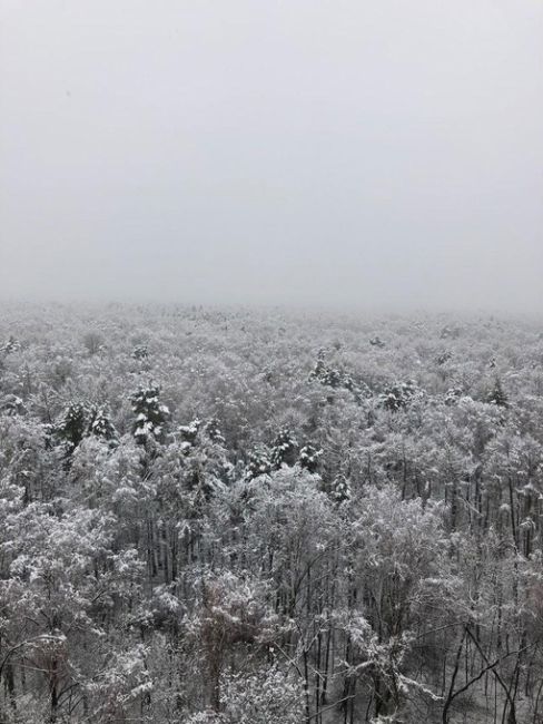 Первое Апреля год назад в Балашихе...