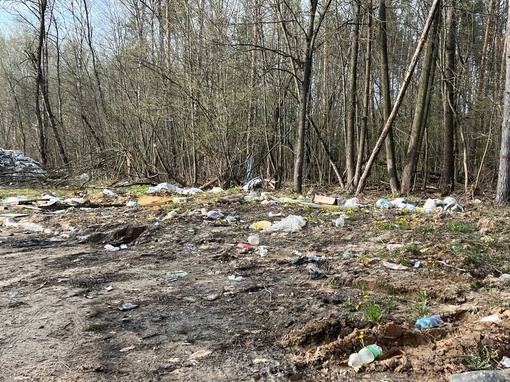 По дороге из ЖК Мишино в сторону ул.Академика Грушина образовалась внезапная мусорная свалка  Всю зиму сюда..