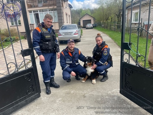 🐶 Коломенские спасатели освободили щенка, который застрял в заборе. Хозяева не смогли самостоятельно..