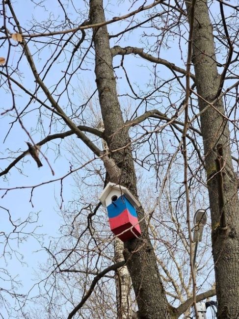 В Подмосковье заметили скворечник в виде зенитной установки 
Один раскрасили триколором, другой — сделали..