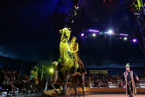 Хехей,Подольск.
Мы, команда Цирка "Арена-Ягуар " приглашаем Вас на яркое, колоритное и прекрасное событие -..