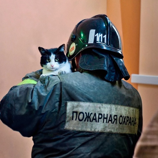 Сегодня День пожарной охраны России 🇷🇺  Спасибо за тяжёлый труд..