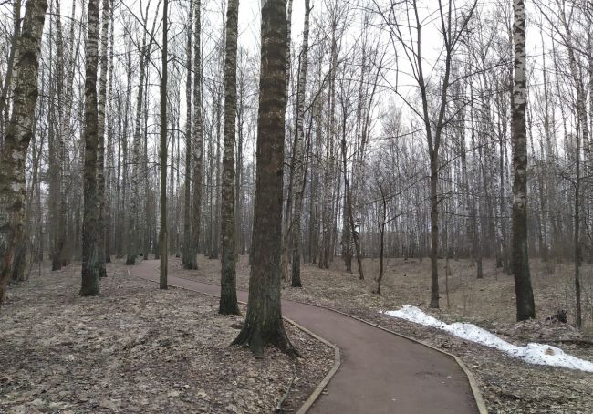 Доброе утро, Ногинск.
Желаю всем отличного..