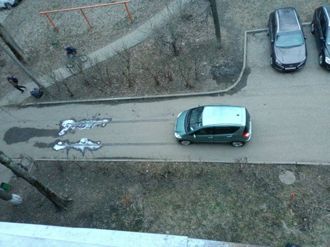 .... ВОТ И СВИНЬИ..