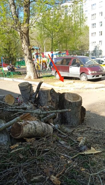 Рядом с детской площадкой во дворе д.9 по ул.Октябрьская вчера днём упало сухое  20- метровое дерево. К счастью,..