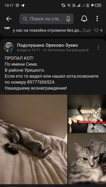 Найден котик !!!Урицкого 66,68 у пятерочки, на вид месяцев 8,видно что домашний!!!Оставили пока у себя !Ищем старую..