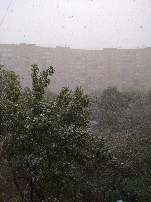В Москве порывистый ветер повалил множество деревьев, повредил авто, и даже повыносил оконные..