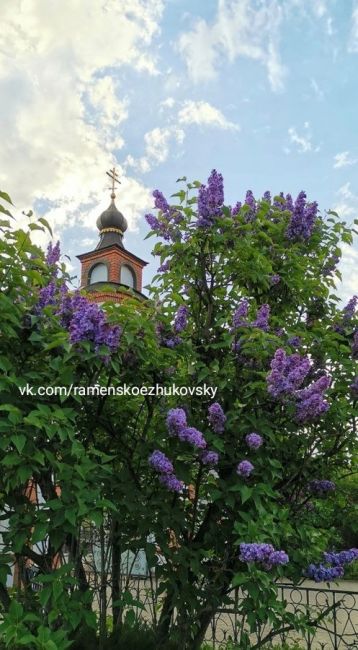 Чувствуйте вкус к жизни. Обращайте внимание на мелкие радости, на хорошие новости, удивляйтесь тому, как..