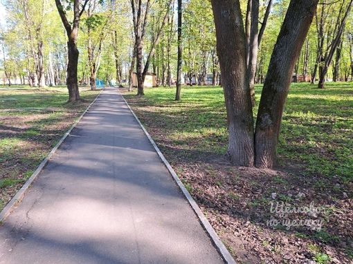 Новая зона для пикника в Щелковском парке🌳  У жителей города появилась еще одна зона для отдыха. Теперь все..